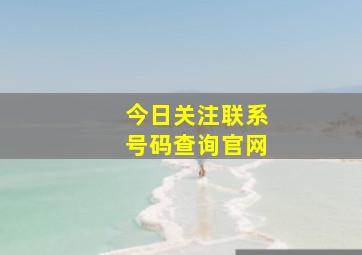 今日关注联系号码查询官网