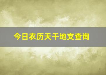 今日农历天干地支查询