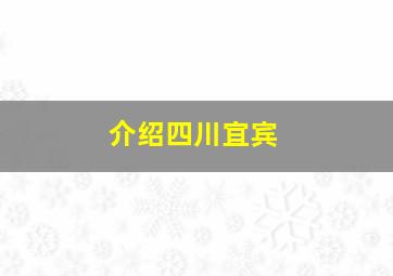 介绍四川宜宾