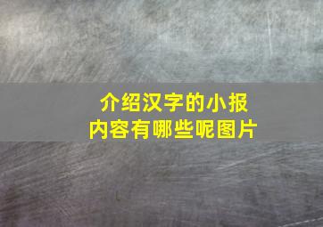 介绍汉字的小报内容有哪些呢图片