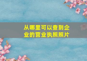 从哪里可以查到企业的营业执照照片