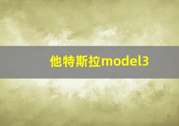 他特斯拉model3