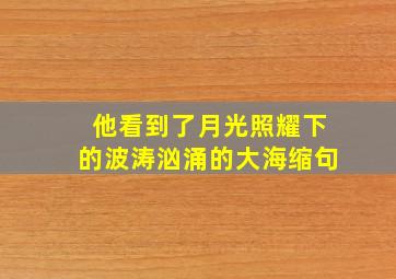 他看到了月光照耀下的波涛汹涌的大海缩句