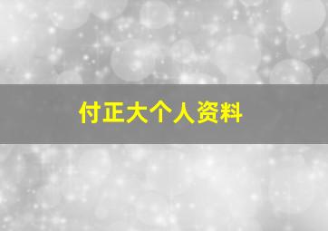 付正大个人资料