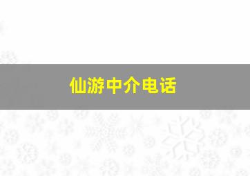 仙游中介电话