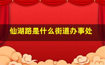 仙湖路是什么街道办事处