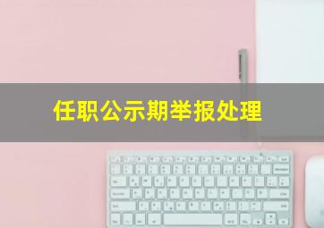 任职公示期举报处理