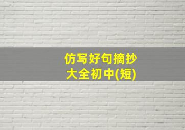 仿写好句摘抄大全初中(短)