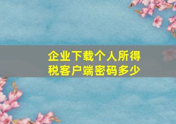 企业下载个人所得税客户端密码多少