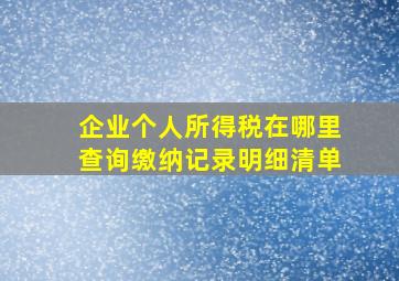 企业个人所得税在哪里查询缴纳记录明细清单