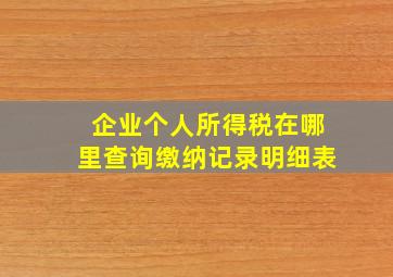 企业个人所得税在哪里查询缴纳记录明细表