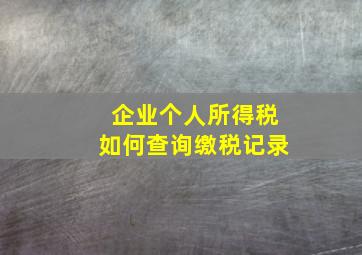 企业个人所得税如何查询缴税记录