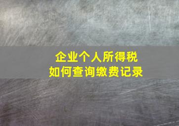 企业个人所得税如何查询缴费记录