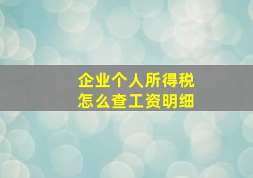 企业个人所得税怎么查工资明细