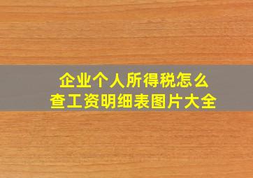 企业个人所得税怎么查工资明细表图片大全