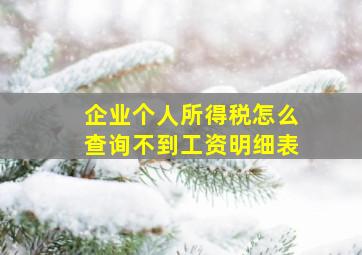 企业个人所得税怎么查询不到工资明细表