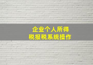 企业个人所得税报税系统操作