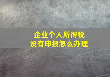 企业个人所得税没有申报怎么办理