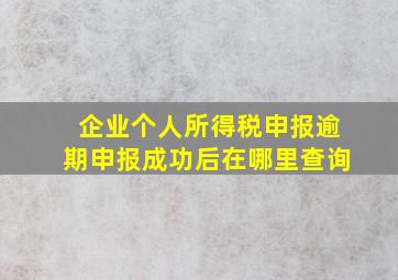 企业个人所得税申报逾期申报成功后在哪里查询