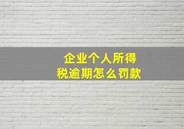 企业个人所得税逾期怎么罚款