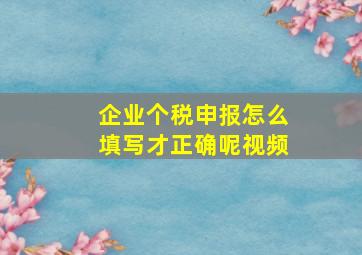 企业个税申报怎么填写才正确呢视频