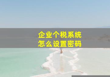 企业个税系统怎么设置密码