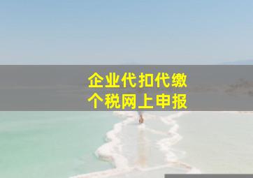 企业代扣代缴个税网上申报