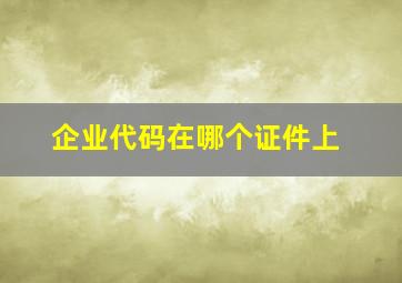 企业代码在哪个证件上