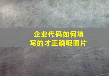 企业代码如何填写的才正确呢图片