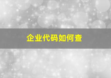 企业代码如何查