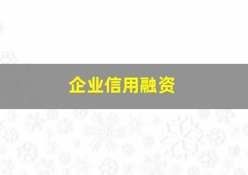 企业信用融资