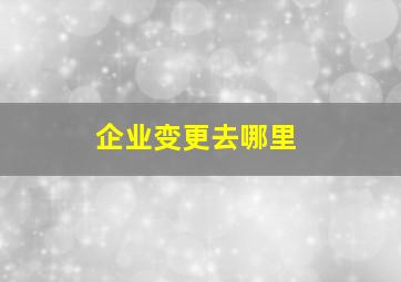 企业变更去哪里