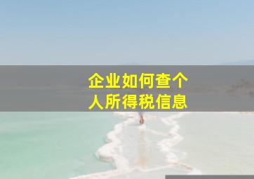 企业如何查个人所得税信息