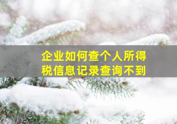 企业如何查个人所得税信息记录查询不到