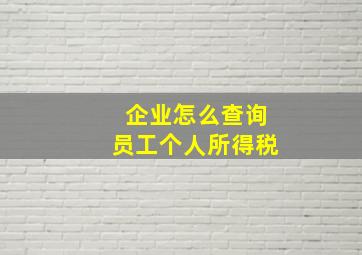 企业怎么查询员工个人所得税