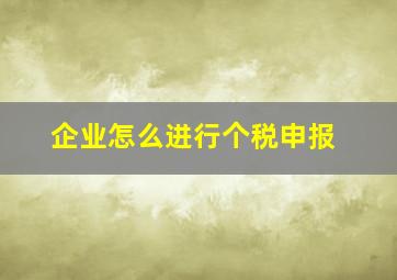 企业怎么进行个税申报