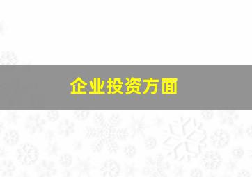 企业投资方面