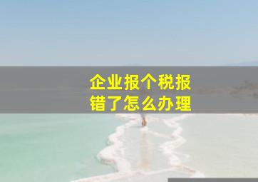 企业报个税报错了怎么办理