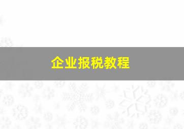 企业报税教程