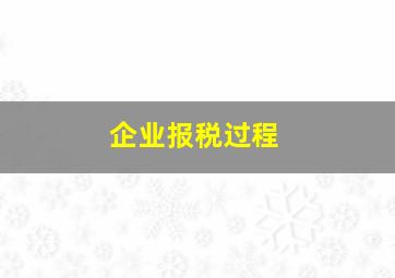 企业报税过程