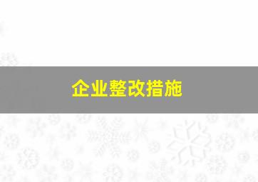 企业整改措施