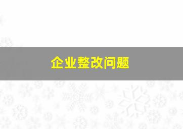 企业整改问题