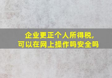 企业更正个人所得税,可以在网上操作吗安全吗