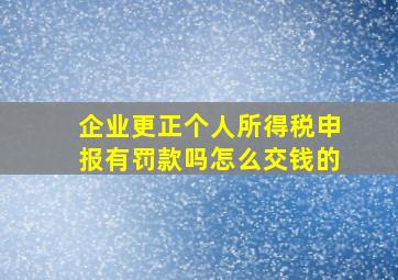 企业更正个人所得税申报有罚款吗怎么交钱的