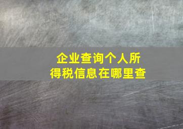 企业查询个人所得税信息在哪里查