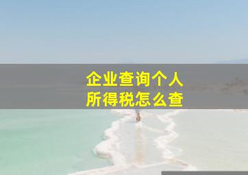 企业查询个人所得税怎么查