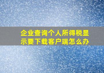 企业查询个人所得税显示要下载客户端怎么办