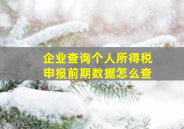 企业查询个人所得税申报前期数据怎么查