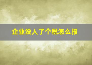 企业没人了个税怎么报