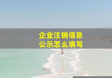 企业注销信息公示怎么填写